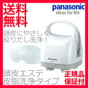 Panasonic パナソニック 頭皮エステ 皮脂