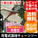 【送料無料・保証付】【高枝チェーンソー TCS-002 248t07271】 高枝切り電動チェーンソー コードレス 充電式 電動チェンソー 電動高枝切りチェーンソー