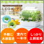 【即出荷】\ページ限定・カードケース付/ 【LEDガーデン】LEDライト付きで室内で一年中育てられる 家庭用栽培キット【後払いOK】