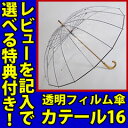 耐風傘 【カテール16】 高級ビニール傘 丈夫 皇室 逆止弁 16本骨 透明傘 かてーる16 耐風傘 防風傘 メンズ レディース 長傘 クリア傘 丈夫な長傘/11月下旬入荷予定