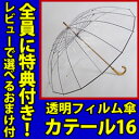 9月中旬入荷予定/\ページ限定・カードケース付/ 【カテール16】 雨に負けない傘 ホワイトローズ社 16本骨 耐風 防風 高級ビニール傘 男性用 女性用 皇室 丈夫な長傘
