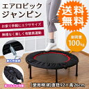 エアロビック ジャンピン 0215846 ■送料無料■