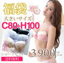 大きいサイズ【送料無料(一部地域除)】ブラ&ショーツ3セット福袋(C80-H100サイズ)【再入荷】
