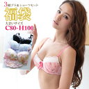 大きいサイズ【送料無料(一部地域除)】ブラ&ショーツ3セット福袋(C80-H100サイズ)
