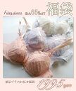 65％off！fairy/piace単品ブラ3セット福袋・最大5670円相当（ショーツは付きません）(2/21頃からの発送)