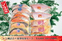 【ぴん太郎 豪華切身セット】5種2枚8切入・送料込・房総・干物・真空パック・ご贈答・お中元・お歳暮・ギフト・ひものセット