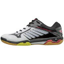 ウエーブファング RX2【MIZUNO】ミズノバドミントン シューズ(71GA1705)*26