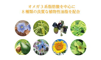 バイオバンク、biobank