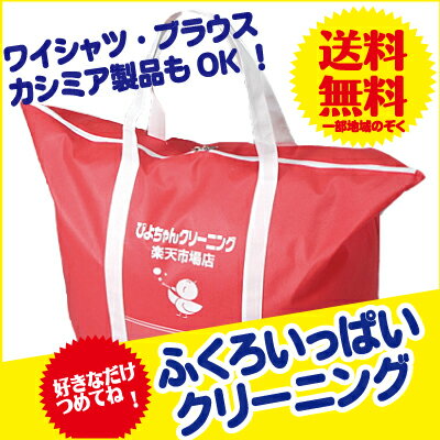 【送料無料】【ノーマルサイズ】袋いっぱい！クリーニング