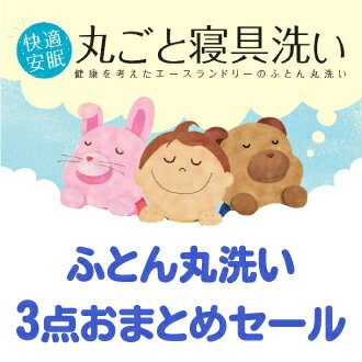 布団丸洗いキャンペーンふとん丸洗い3枚おまとめ【送料無料】