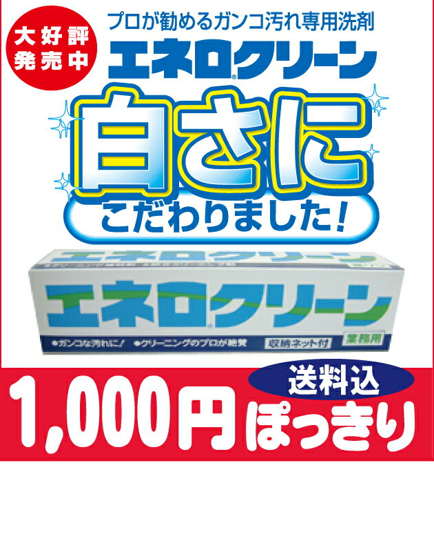 1000円　ぽっきり 送料込！エネロクリーン1本