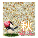 ぴよっちゅ カエデ鳥/文鳥秋用ブレンド 1kg×5 : 鳥の餌 えさ