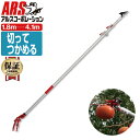 【あす楽】○【送料無料】【ARS/アルス】150ZZ-4.1-6D 超軽量3本伸縮式高枝切鋏ライトチョキWズーム 4m 【DIY・ガーデニング/園芸/農作業/庭づくり/家庭菜園/果樹園】【剪定はさみ/鋏/高枝切りばさみ】