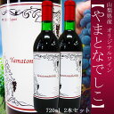 山梨ワイン 山ぶどう 赤ワイン やまとなでしこ 2本セット 720ml ギフト 贈答 なでしこ農園