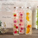 ハーバリウム Herbarium 母の日 ギフト 誕生日 プ...