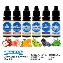 送料無料 電子タバコ リキッド 人気フレーバー お試しセット 10ml 6本（<strong>ストロングメンソール</strong> 完熟アップル 完熟桃 完熟みかん マスカット 巨峰） 天然素材 強い刺激 10ml 混ぜて使える VAPE 対応