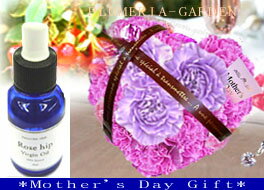 母の日《エレガントセット》ローズヒップ・高級ヴァージンオイル＆【ジュエルハート】ハートデザイン・アレンジメント【♪一歩先行くオシャレな贈り方！】【♪専門店ならではの希少企画!】生花・アレンジ