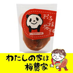 【リニューアル】お子様梅干しちょっぴり味わいパック100g[ぷらむ工房 岩本食品]