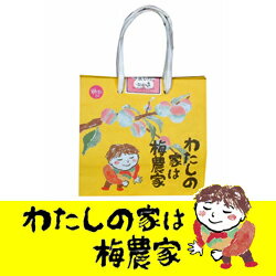 紀州みなべの梅まんじゅう梅あん6個入[ぷらむ工房 岩本食品]