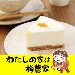 梅レアチーズケーキ　1ホール（13cm）【クール便送料込】[ぷらむ工房 岩本食品]毎日放送『ちちんぷいぷい』で紹介！