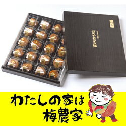 極上特大ダイヤモンド梅20粒[ぷらむ工房 岩本食品]