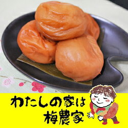 昆布梅 250gお手軽パック[ぷらむ工房 岩本食品]