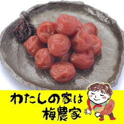 しそ漬小梅 500g自宅用ecoパック[ぷらむ工房 岩本食品]