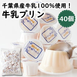 ひとくち 牛乳プリン 40個 千葉県産 濃厚 乳製品 大容量 個包装 お徳用 業務用 簡易包装 デザート おやつ 洋生菓子 常温保存 牛乳ぷりん お菓子 間食 プチ 一口サイズ お取り寄せ プリン ミルクプリン 保存食 送料無料 イベント 文化祭 自分用 自宅用 甘味 スイーツ