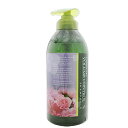 ナプラ ケアテクト OG シャンプー VC 750ml 【ノンシリコンシャンプー】【shampoo】【10P18Jun16】