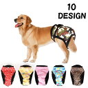 送料無料 犬用サニタリーパンツ 犬用マナーパンツ 生理パンツ...