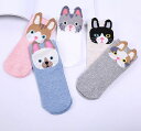 靴下 くつした レディースソックス アンクルソックス ショートソックス くるぶし丈 可愛い かわいい アニマル 動物 綿