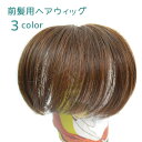 送料無料部分ウィッグ 前髪用ヘアウィッグ ポイントウィッグ ...