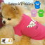 送料無料Tシャツ 犬服 ドッグウェア ドッグウエア プリントTシャツ 袖あり 袖 羽 羽根 天使の羽 天使 Angel エンジェル 英字 薄手 ペット服 犬用 ペット用 犬 いぬ ドッグ 小型犬 春 夏 秋 可愛い かわいい オシャレ おしゃれ シンプル 300円
