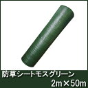 防草シート モスグリーン 幅2m×50m 【厚手・草よけシート】シN【代引不可】