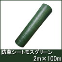 防草シート モスグリーン 幅2m×100m 【厚手・草よけシート】