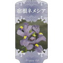 【1000枚】 AC 1型 宿根ネメシア NEMESHI-003 ポリポット用 ラベル 名札 育苗 アンドウケミカル カ施 【代引不可】