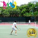 AirNet エアネット テニス AG-T88 メーカー保証 1年 テニスネット 空気 組立簡単 エアゴールスポーツシリーズ フG 送料無料 代引不可