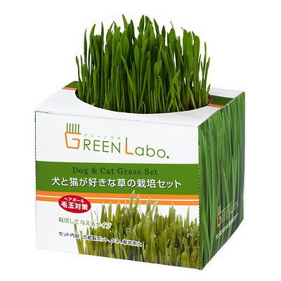 グリーンラボ　犬と猫が好きな草の<strong>栽培セット</strong>【GREEN Labo.】○