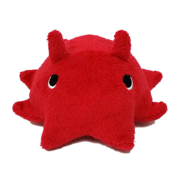 xXgGo[iBesteverj XNB[L[@_R