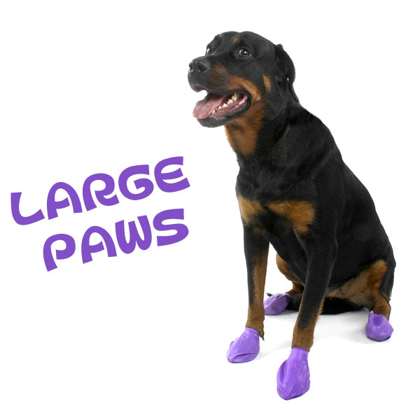 ◎【PAWZ DogBoots】パウズドッグブーツ 12個入り／Lサイズ（パープル)○