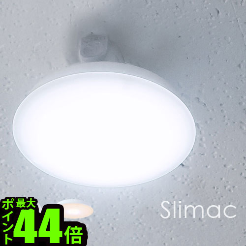 ＼MAX45倍 お買い物マラソン期間中／【あす楽16時まで】ポイント10倍Slimac LED シー...:plywood:10007969