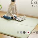 【送料無料】【受注生産】 燈心草 TATAMIZE SLOPE タタミゼ スロープ 《 6枚セット 》【smtb-F】畳 たたみ タタミ ユニット ユニット畳 置き畳 国産 畳マット 和 琉球畳風 縁なし フローリング◇おしゃれ オシャレ tatami 和モダン 新生活 plywood ラグ