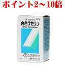 【第3類医薬品】大洋製薬 白色ワセリン 30g