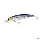 ダイワ(Daiwa) ショアラインシャイナーZ セットアッパー 97S-DR レーザーマイワシ(東日本店)