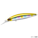 ダイワ(Daiwa) ショアラインシャイナーZ セットアッパー 97S-DR ゴールドレインボー