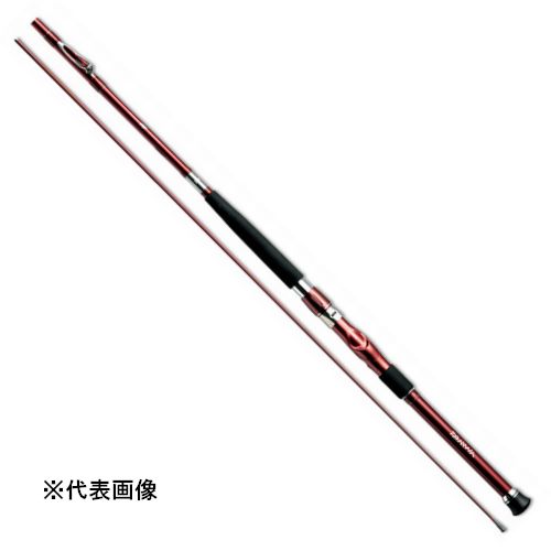 ダイワ(Daiwa) インターライン岬　30−310