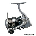 ダイワ(Daiwa) 【訳あり 売り尽し】カルディア 2506H