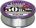 サンライン(SUNLINE) SWS システムショックリーダーFC 30m 60LB/#18