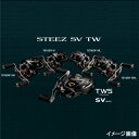 ダイワ(Daiwa) STEEZ SV TW 1016SV-SH 右ハンドル