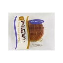 デイプラス 天然酵母パン ブルーベリー味 12入